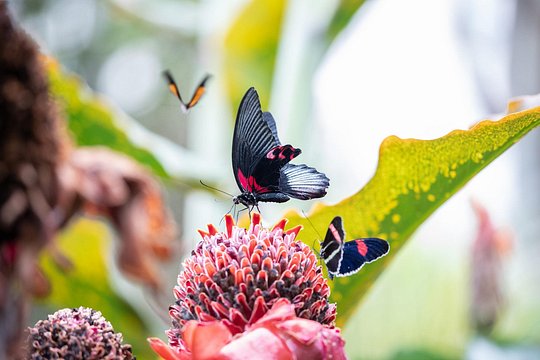 Tour image 1